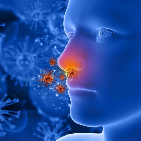 Battling the Pollen: A Guide to Understanding and Managing Hay Fever