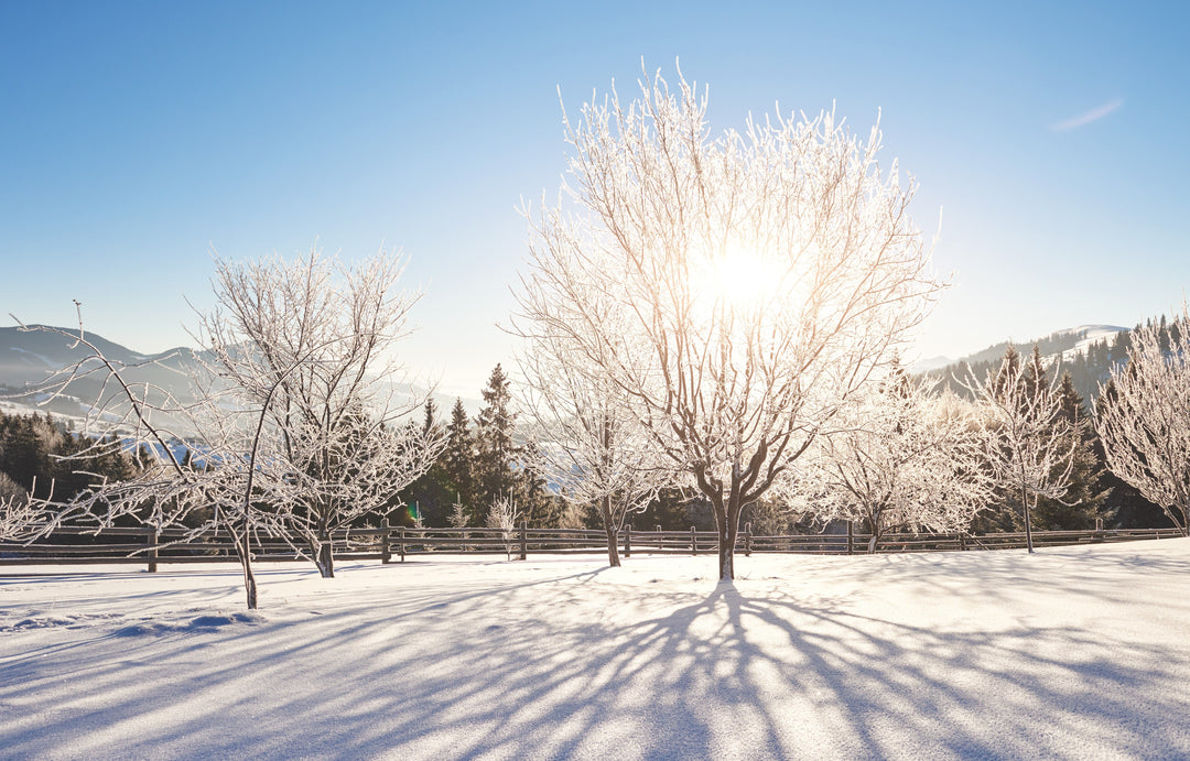 Embracing Winter with a lung condition